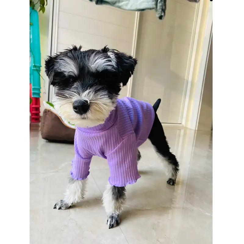 Pet Bottoming Shirt for Small Dogs
