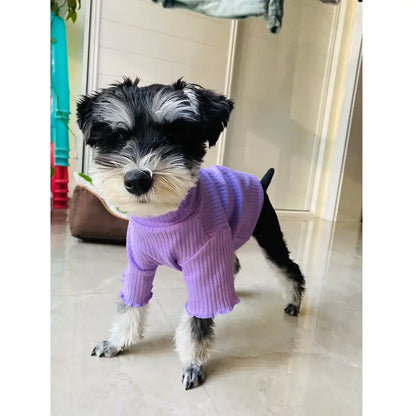 Pet Bottoming Shirt for Small Dogs