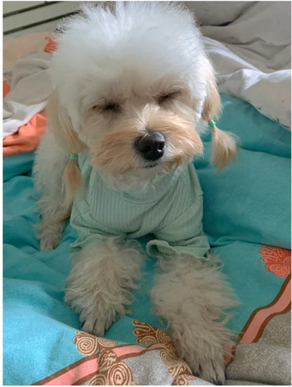 Pet Bottoming Shirt for Small Dogs