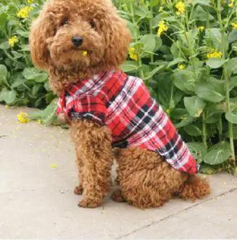 Pet Clothing, Pet Shirt, Checkered Shirt