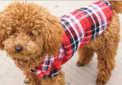 Pet Clothing, Pet Shirt, Checkered Shirt